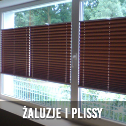 zaluzje i plissy